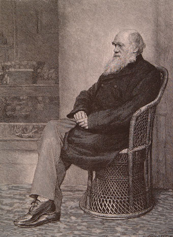 Portrait of Charles Darwin at Down House taken from a photograph by his son Leonard c 1880 (University of Bristol Library, Special Collections).
