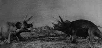 Stills from the 1925 version of The Lost World as featured in the Illustrated London News (Bristol Libraries).