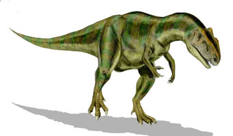 Allosaurus (Wikipedia).