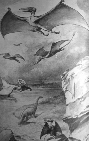 'The Age of Flying Reptiles' from Harmsworth's Natural History (1910) (Bristol Libraries).