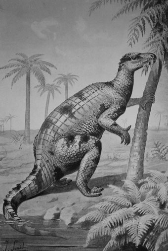 Iguanodon from Henry R Knipe's Nebula to Man (1905) (Bristol Libraries).