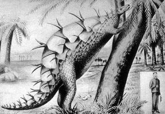 Artist's impression of the stegosaurus (1914) (Linda Hall Library).