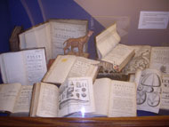 Fossil display in a South Gloucestershire Library.