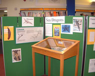 Dinosaur display in a South Gloucestershire library.