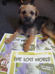 Fidget, the office dog at Edinburgh UNESCO City of Literature Trust, checks out the Lost World Read publicity posters.