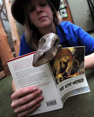 Barry, a blue-tongued skink, reads The Lost World with staff member Robyn at Newquay Zoo.